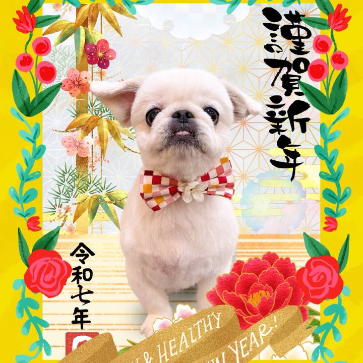 8d0346a6 007d 4801 824c ebec2dc43d8b 1735739077350