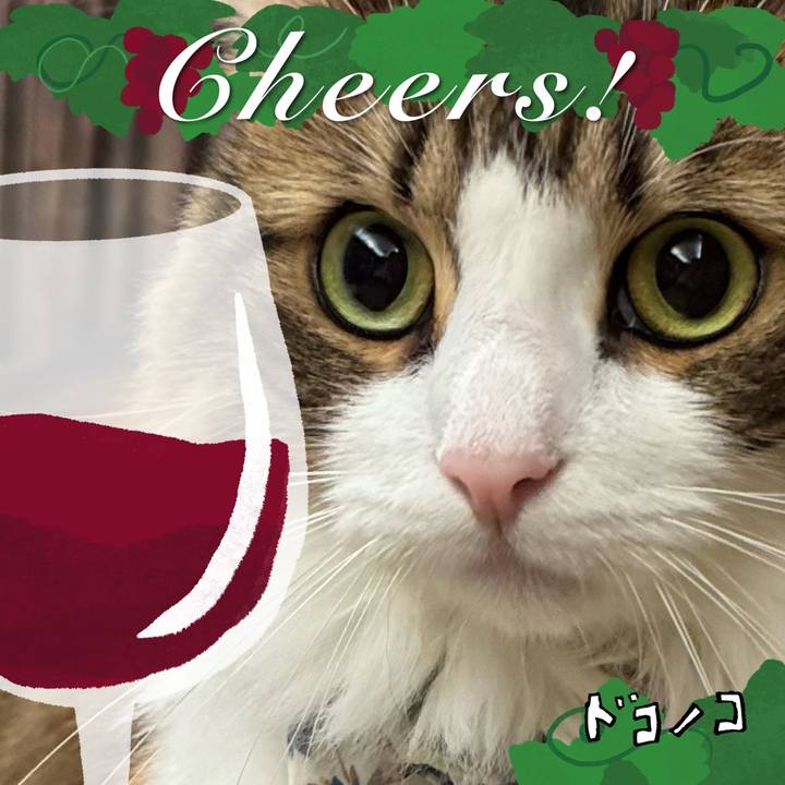 8d034d6c 5dfd 4021 be74 37d860a3bce9 1762753297747