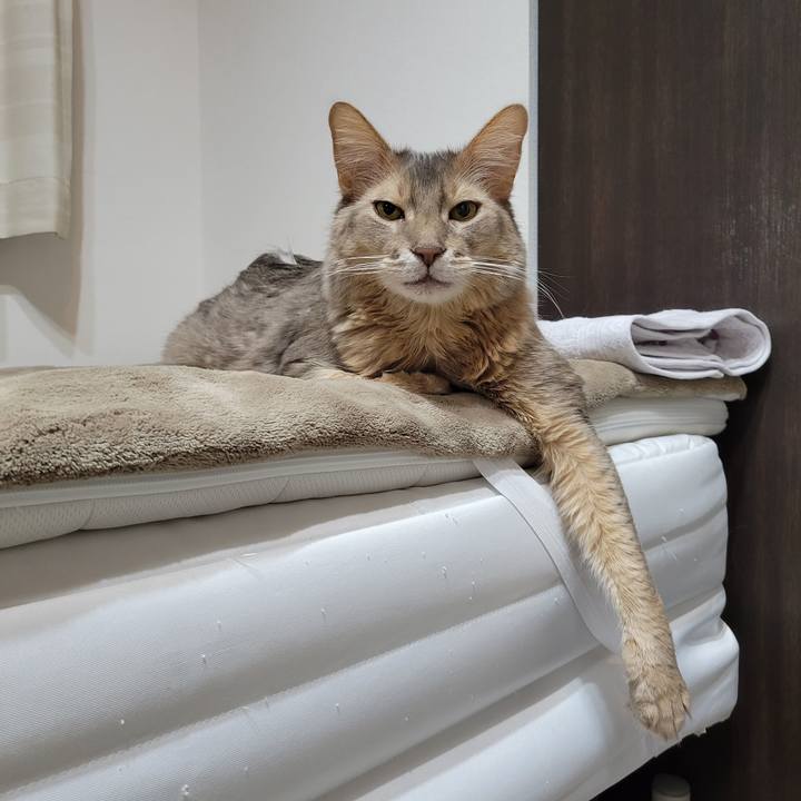 8d0360c3 db5c 410b adda aed5d5911a26 1677378426162