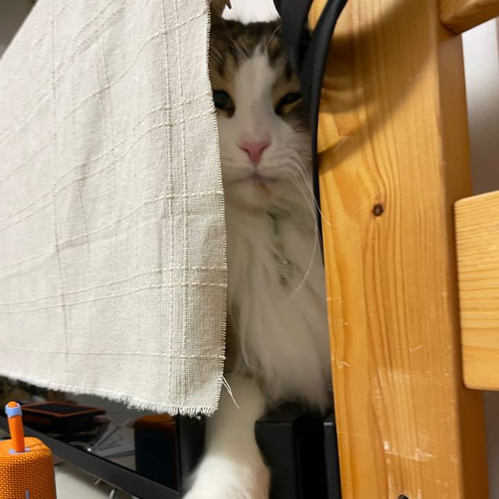 8d036c33 4f5d 4bc9 a6ab 0c60f1b8c7d5 1739306110550