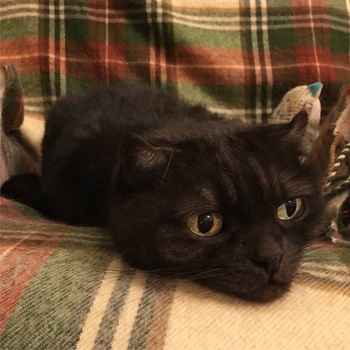 8d0380cb 5e32 40d3 84d4 61cd3a624f65 1541090225074