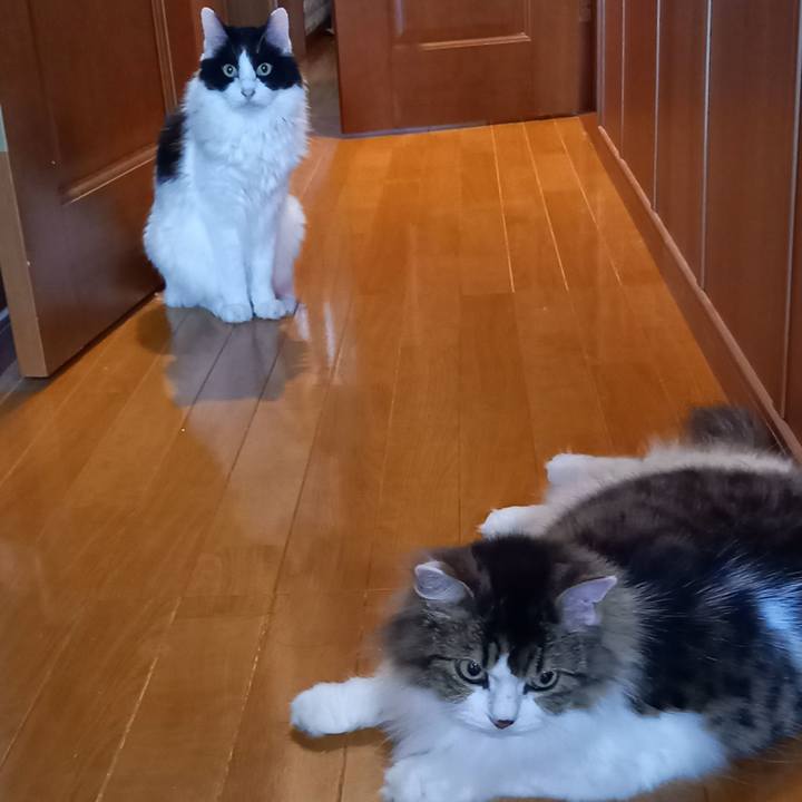 8d03bb42 9ceb 41ef a937 19af93902542 1657578992650