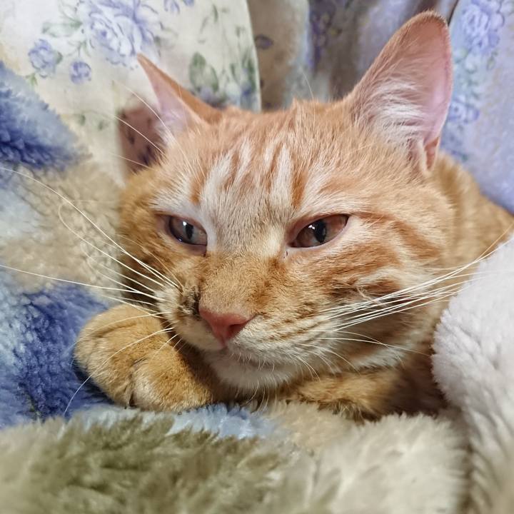 8d0408e8 a9d9 4fcf 9367 70c6554202b3 1654041871780