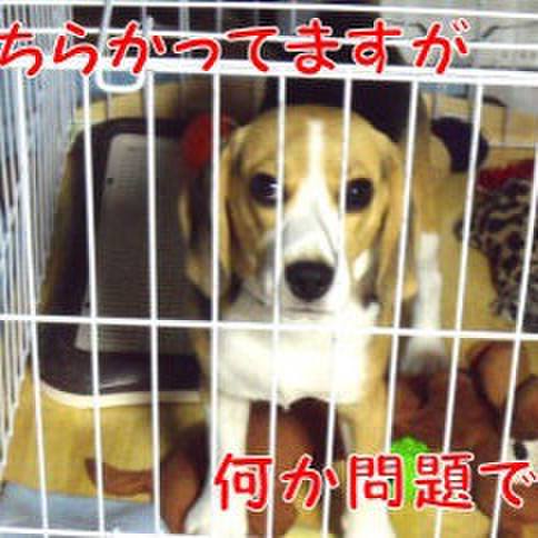 8d0432d8 ddc4 4ec8 a0fd 8abea683922a 1683593063715