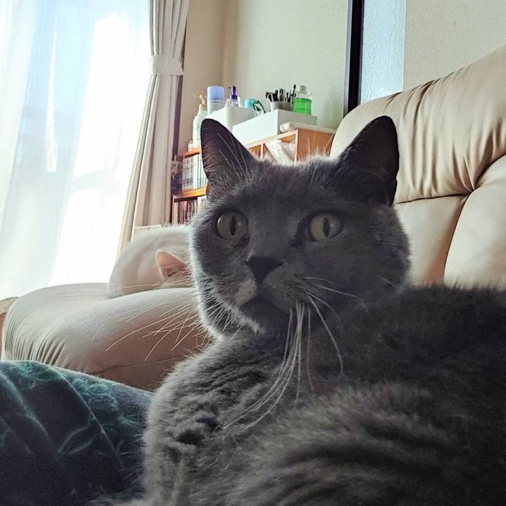 8d0435db 7cc5 4fb9 821f 95a06bf6543e 1715293348317