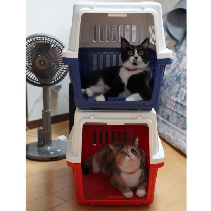 8d0447d3 d8e6 43e6 9c2e 8def1897a81f 1630740553931