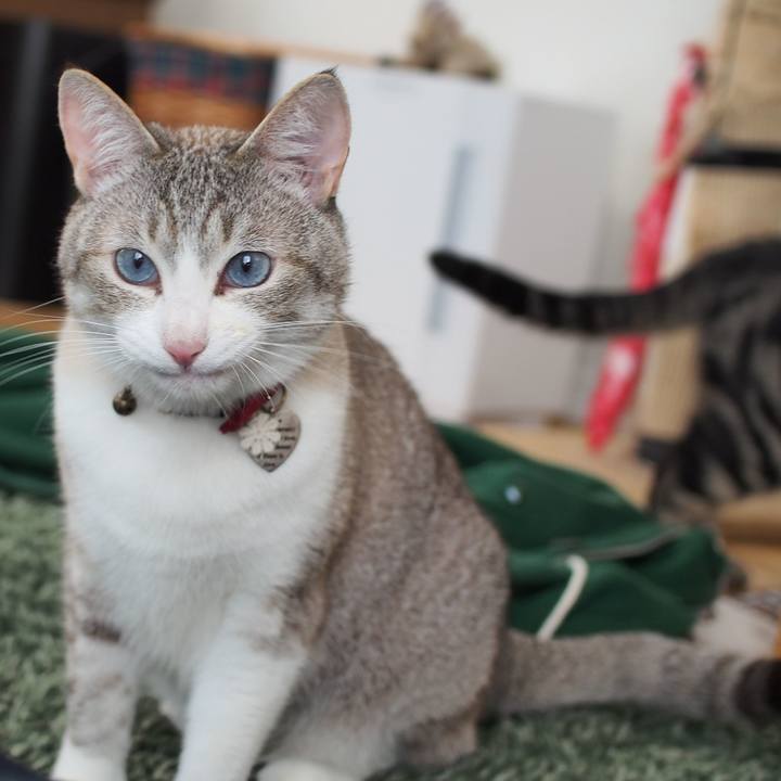 8d047f18 c6aa 4a8b b20d bd25ab01e17e 1558395128065