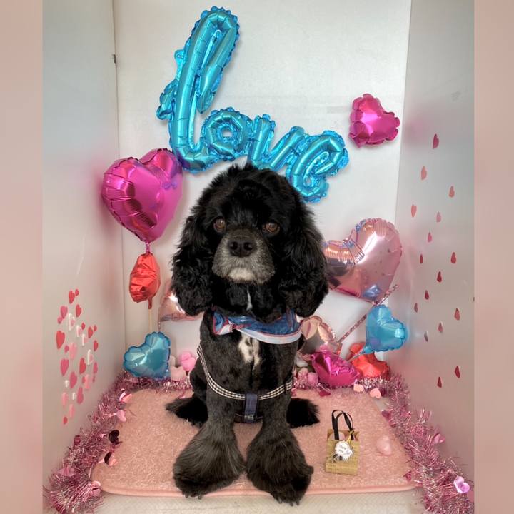 8d04d333 7b66 449b 8b1c fa8cb568ced3 1613280342717