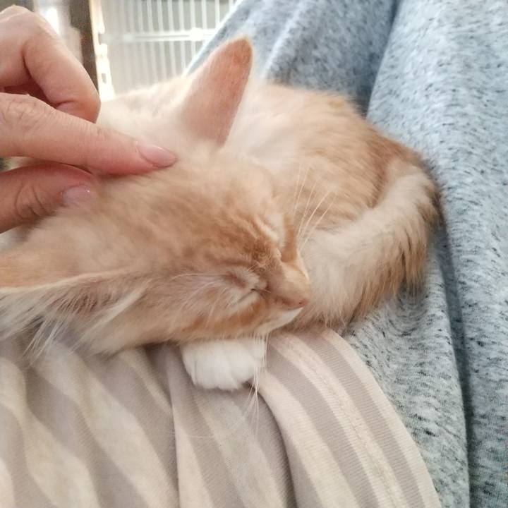 8d050066 edc4 45f4 b948 a2b3830a6349 1605923688240