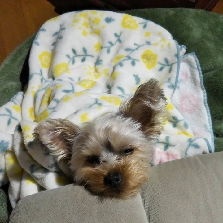 8d05051f de22 4975 b813 18259853b46f 1551534031297