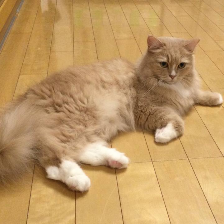 8d053495 f408 4ec7 9796 c6cac6b3939f 1673264697334