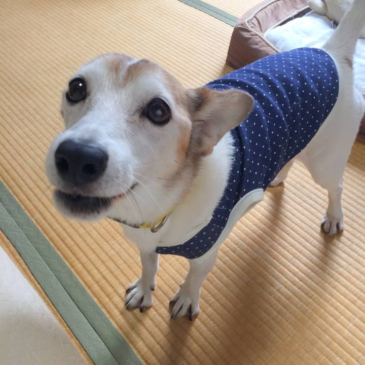 8d0537be 7cdb 4a21 9261 6111e7f79fb0 1539298943361