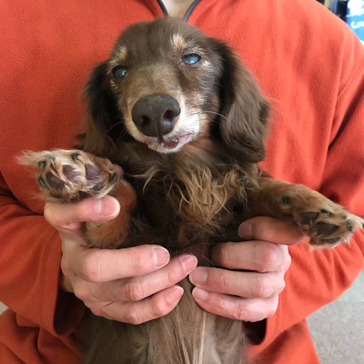 8d054751 9440 42cb bfb9 d16b80eda8b0 1517654254458