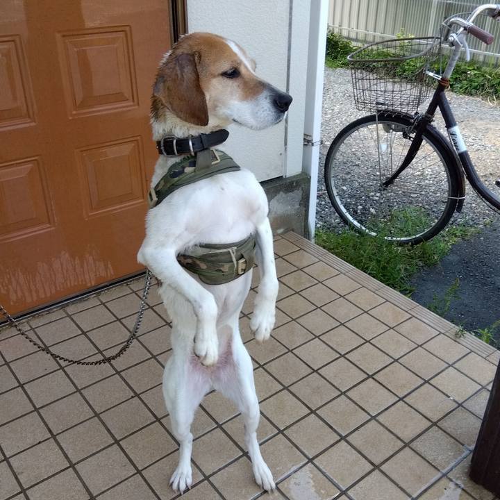 8d054f6d a0a0 48a8 b4bb ddf22c0dfdec 1684294304264