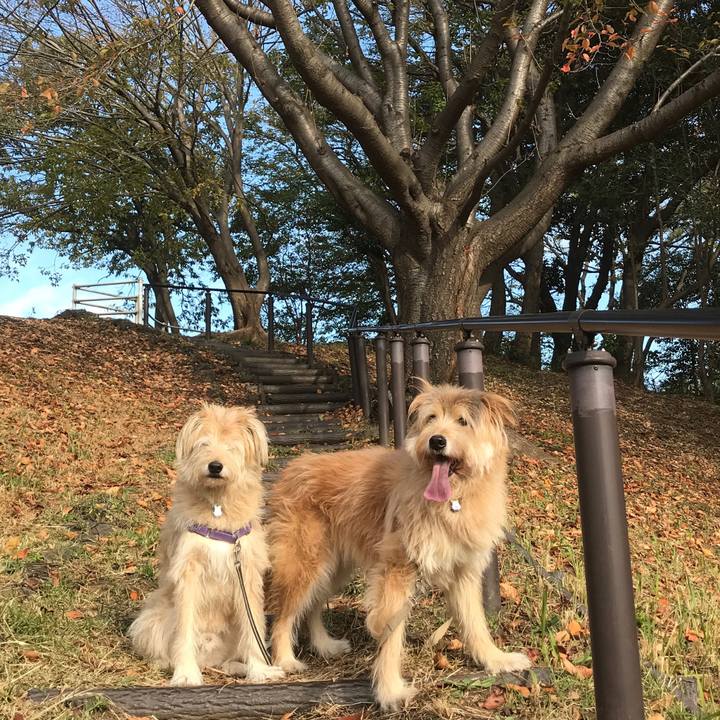 8d0552e4 acc6 4908 8b02 fd41b708bde8 1542768509277