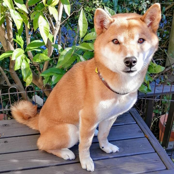 8d055bd0 ea2c 4559 b876 21c4bd97288c 1580273281319