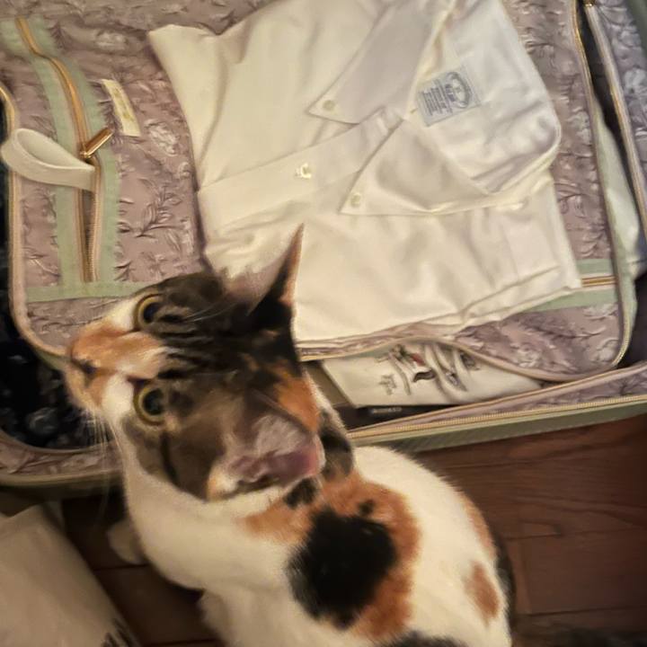 8d0562f2 f454 4b19 9797 f715728d68e4 1757714332918