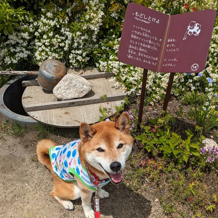 8d058b1c 8d09 4dc7 956f 3f7f4a23aecd 1716765724405