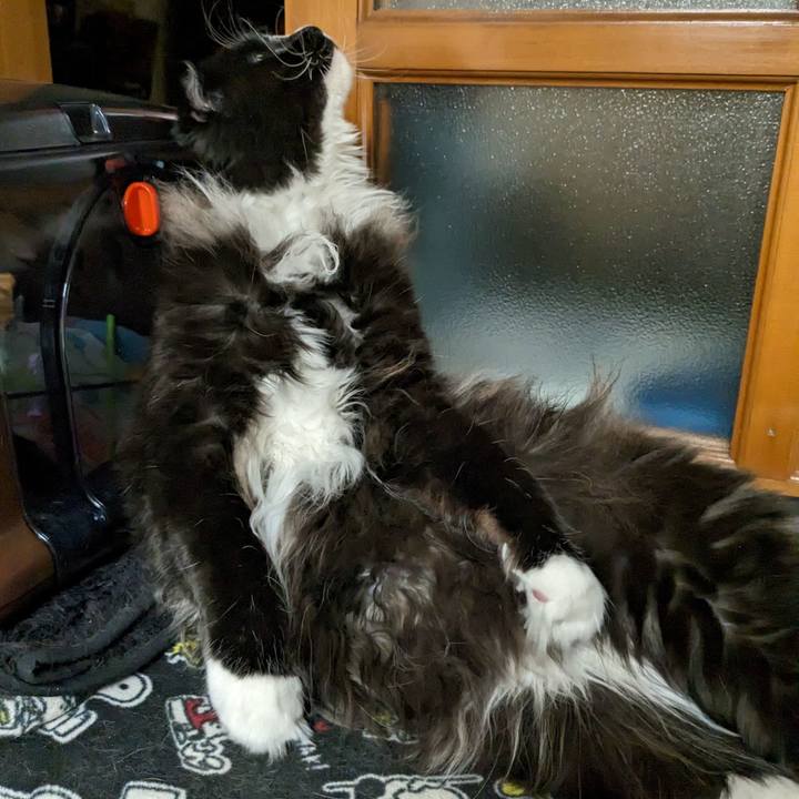 8d059210 c136 47f3 ae7e bb2a47c31c08 1677674854705