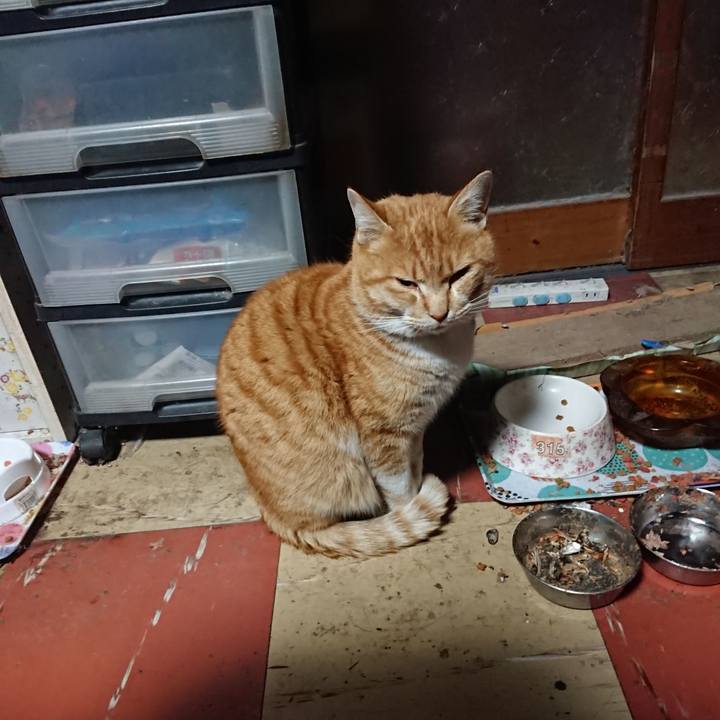 8d05c4fa c42c 479f a0ce 49b220606fba 1579464005616