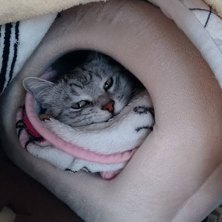 8d062ee6 a14a 4826 a9ef 70b9ac307c76 1620644095830