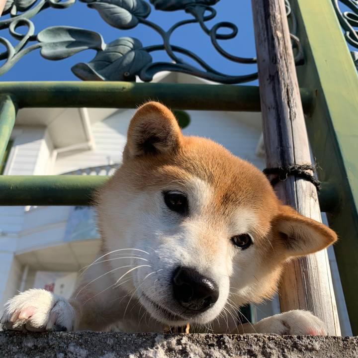 8d0649be 4d2e 40cf b116 9228b275ac8f 1607243175824