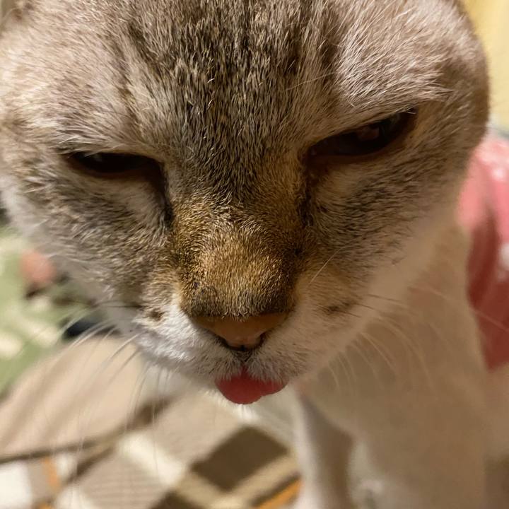 8d067e73 9604 4505 9160 667250533a8b 1610794650573