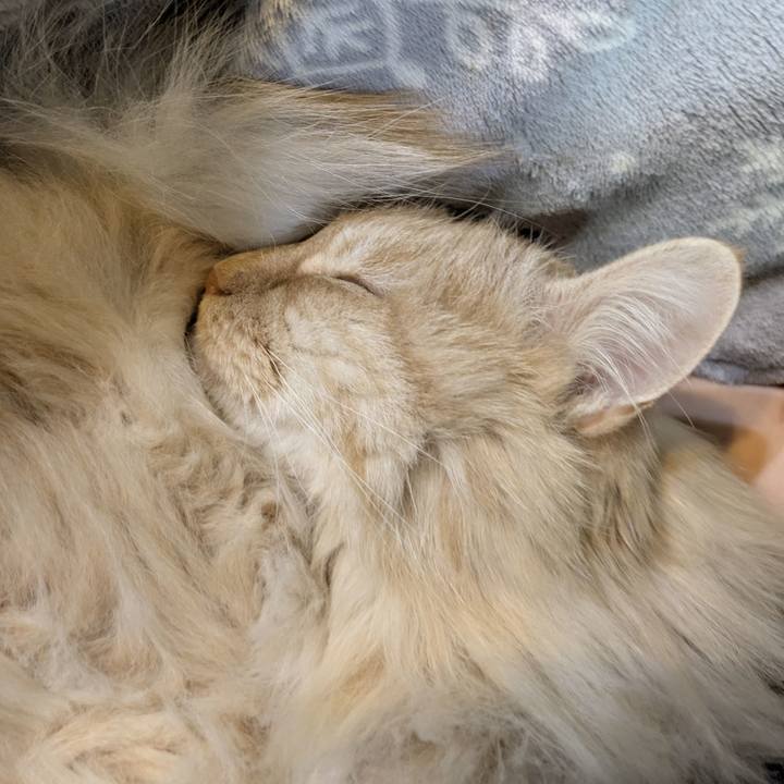 8d0682c4 435e 4287 bdb7 5b45b1160c22 1774624934321