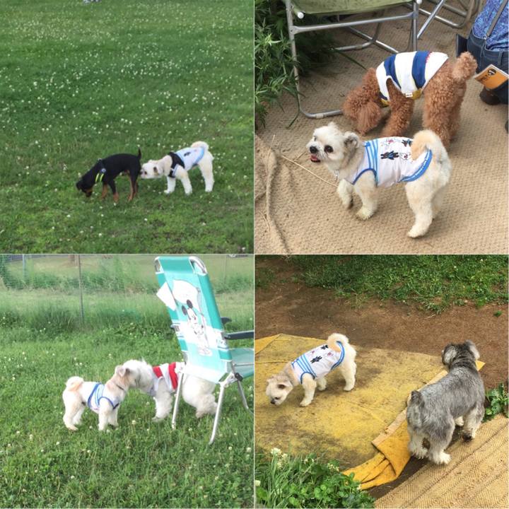 8d0692cf a10c 4a0a 9f62 311fc5dbba00 1530428027531