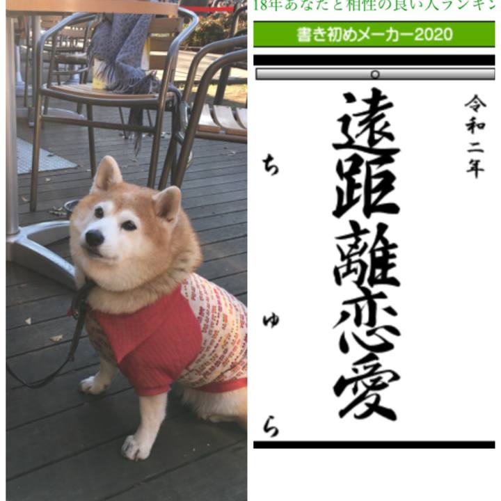 8d06a752 7fb4 439e 8db3 d5561feb67f5 1578289532800