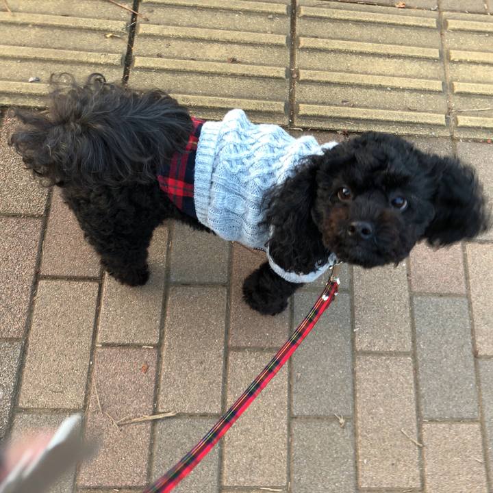 8d06eb1e dd1a 4045 b99c 20ea27199fd1 1541652847671