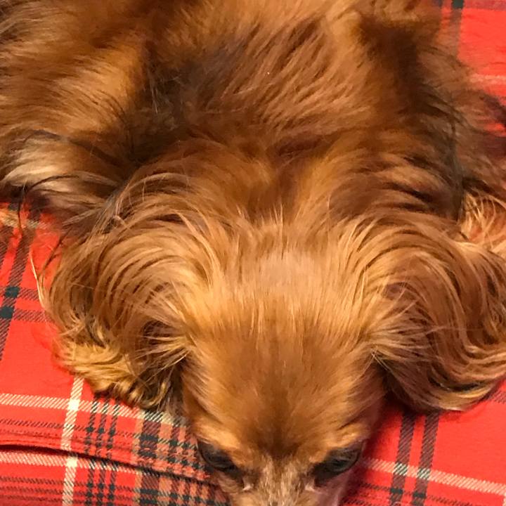 8d06f22f bfc8 41e3 a06b f8efa1fd912c 1575119523434