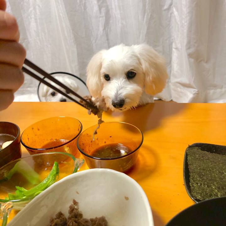 8d071266 1cd2 46da bfca af9b1ae9c33d 1535619080365