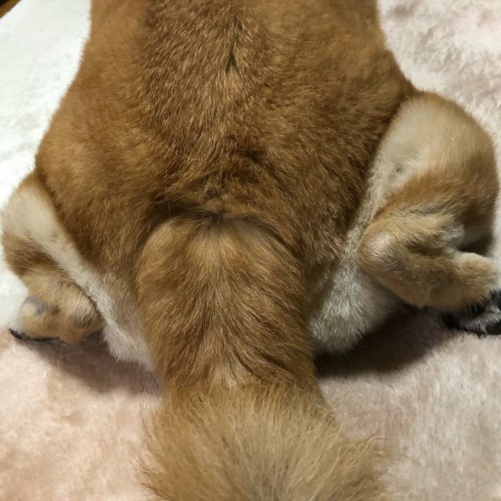 8d071672 ac9a 4dab ae10 d46cd3530976 1582893300234