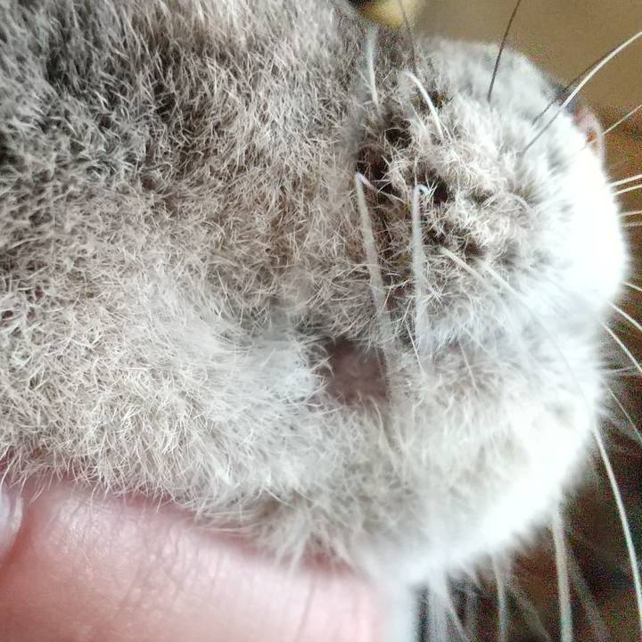 8d07455b 55e7 4409 a66c 65531025b55e 1634512220651