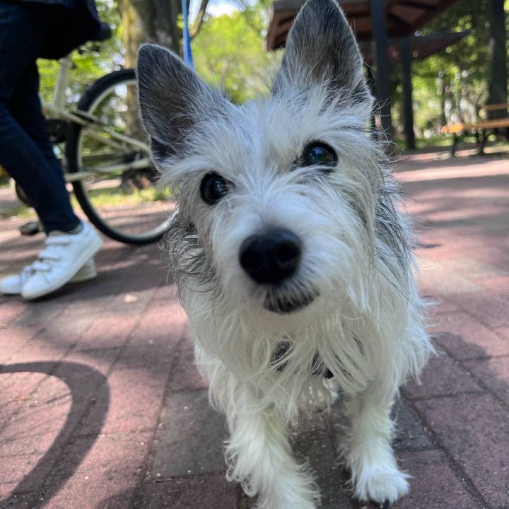 8d075095 ddbb 4c90 8084 088628e870f7 1682250346290