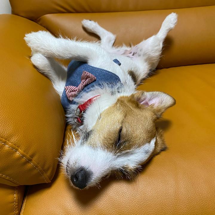 8d07742a 156f 4969 9ed0 9552e080cff9 1626527399223