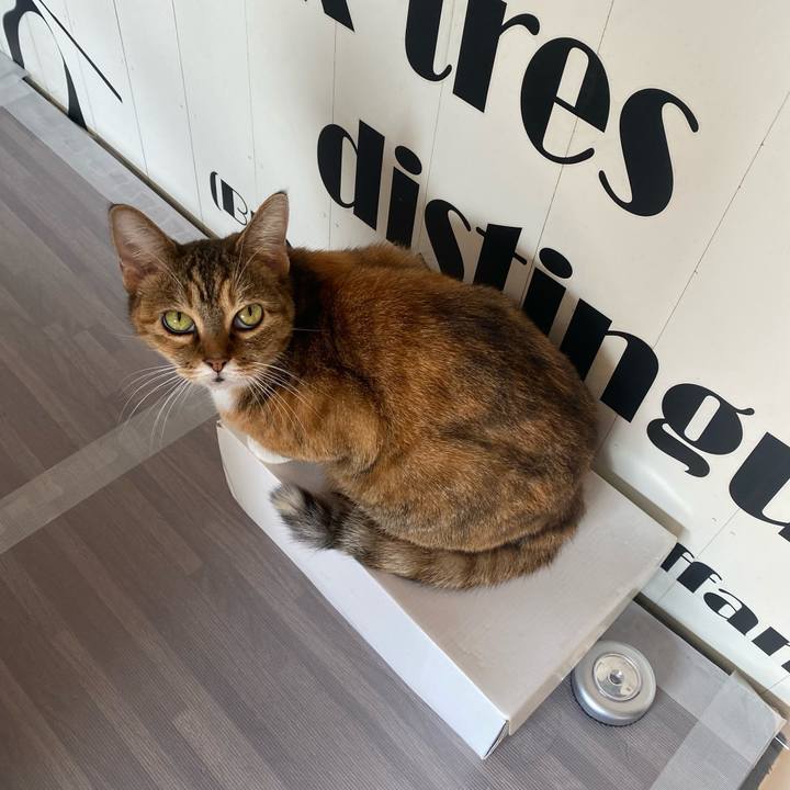 8d07833a 064c 4601 8cff f8899d50dcb6 1636858797108