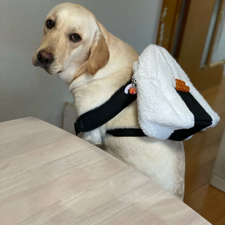 8d07ae95 aba4 40bb a038 87955d4e1cd4 1651656220972