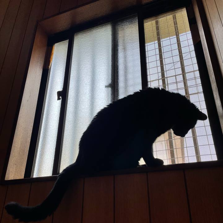 8d07f249 b60e 4e5d a1cc 5d3a6c0b9950 1649816168398