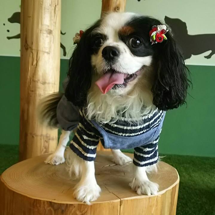 8d084597 d3f4 47f9 8fdc e1fc1c90e69f 1540270595905