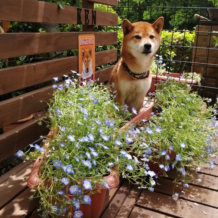 8d084686 3adc 4c08 82c6 849f246f906b 1621047486278