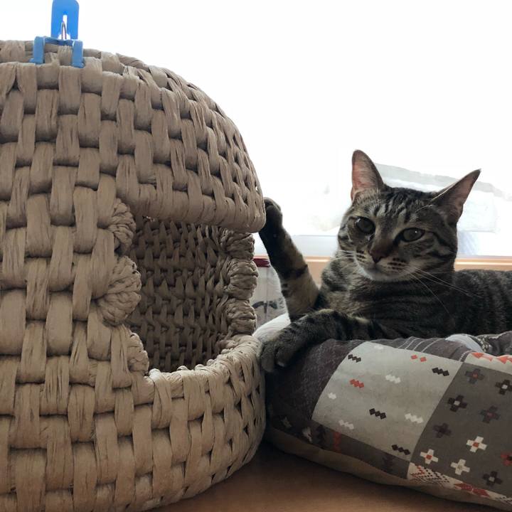 8d0855f1 2248 44a2 ba08 136f1e4f203f 1527171385779