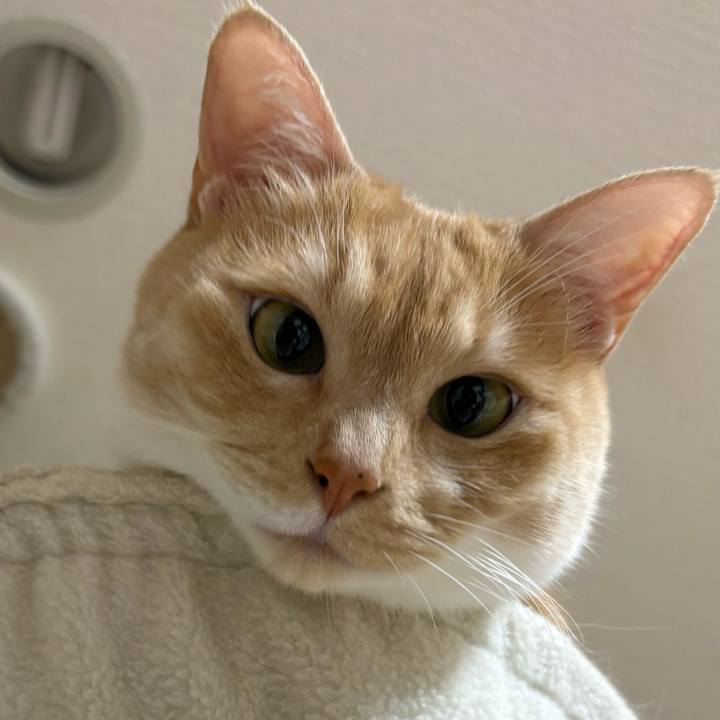 8d086330 ed4c 48fe 8115 ebfae713b70e 1766475082905