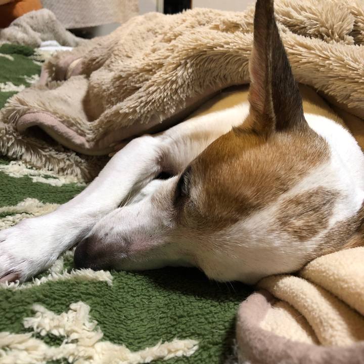 8d08c124 d2a8 478d a1f4 2c637e1f5e5c 1556582456866