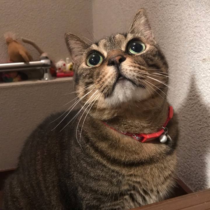 8d08d381 db4a 42ff ba18 b034af787780 1629809244431