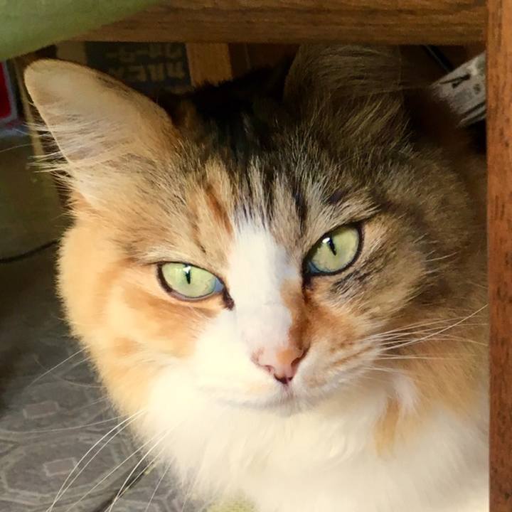 8d08f565 3e9c 4d8a 8295 d8826d641dab 1560222105067