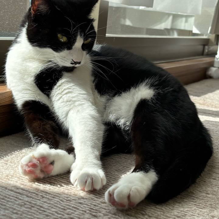 8d09249f a65a 4310 817b b6f95d372c9b 1770085024068