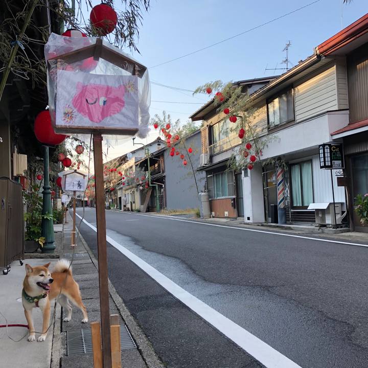 8d09466b e908 49db a4a9 1e328558ff5f 1532164695119