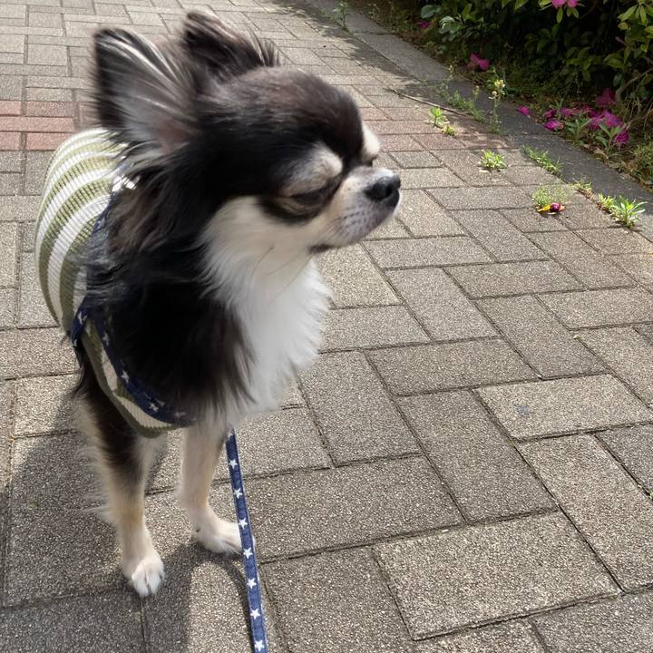 8d0970bb 5690 42e3 ab7d ca67c2ce9ad3 1651982475470